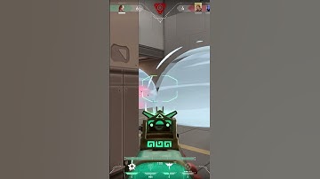 Valorant: Skye ace clutch