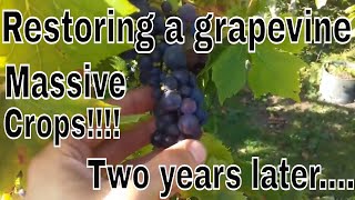 Part 1. https://www./watch?v=-ciniodyziopart 2.
https://www./watch?v=nsauwmq1dwypart 3.
https://www./watch?v=9utjjhlq-hehow ...