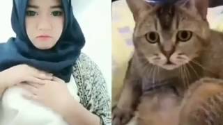 KUCING AJA SAMPAI MELOTOT LIHAT CEWEK BUKA BAJU.. KUCING AJA SAMPAI MELOTOT LIHAT CEWEK BUKA BAJU..