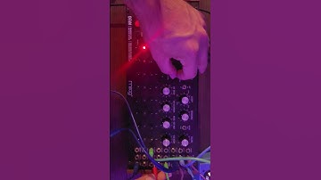 Moog Dfam Techno. Reverb And Delay added from the Multistomp MS-70CDR. #Techno #Moog #Dfam #Djaxiom
