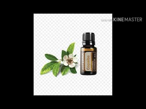 Какая неоценимая польза эфирного масла Копайба?