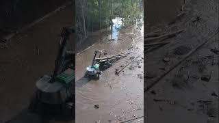Skidder Working In Swamp Conditions