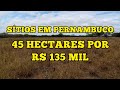 SÍTIO DE 45 HECTARES EM PERNAMBUCO - R$ 135 MIL