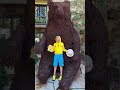 فلاد بالعربونيكي