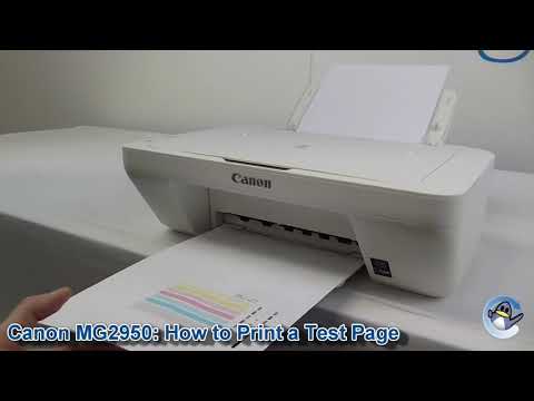Canon Pixma MG2950: How to Print a Nozzle Check Test Page