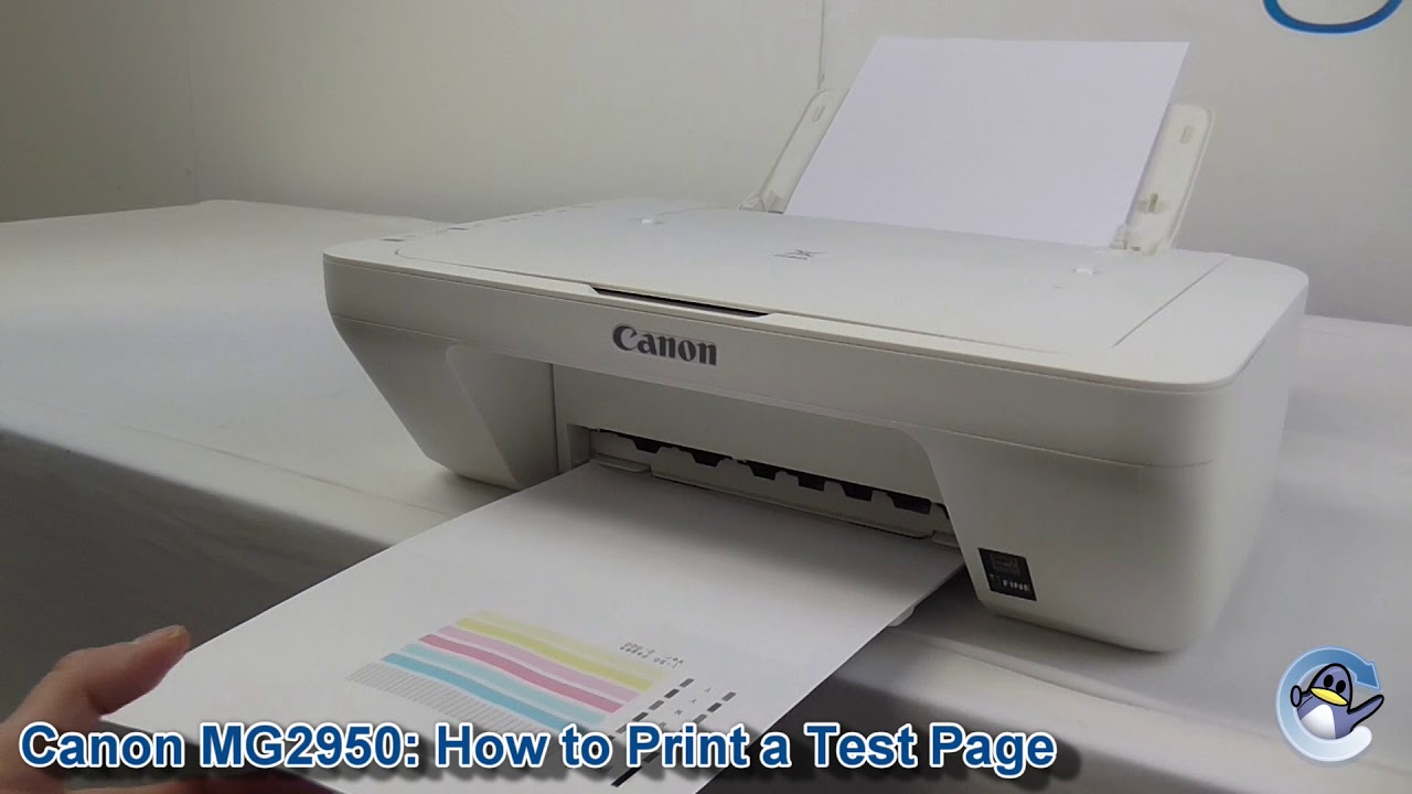 Canon How to Print a Nozzle Check Test Page - YouTube