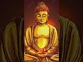 #buddha status video #shorts #youtubeshorts #buddhaquotes