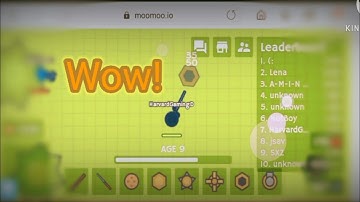MooMoo.io, bow insta?