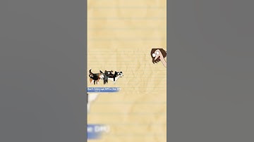 Interrupting NPCs | How to Survive a D&D Dungeon Part 6 | Tabletop Worms Tips