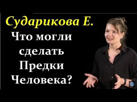Сударикова Е. Эволюция Руки и Пальцев у Приматов!