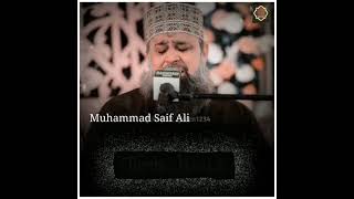 Owais raza qadri naat ❣️ What's app status ❣️ Beautiful Naat status 😍 screenshot 5