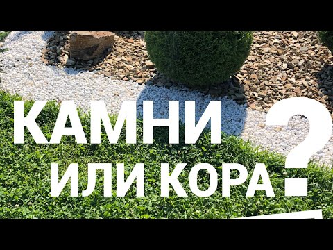 КАМЕНЬ ИЛИ КОРА🔥ЧТО ЛУЧШЕ?🔥СРАВНЕНИЕ- ВЫ ВЫБИРАЕТЕ САМИ