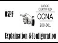 OSPF | OSPF explanation and Configuration  | CCNA 200-301 full course