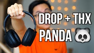 Are These the BEST Sounding Bluetooth Headphones? | Drop THX Panda Honest Review