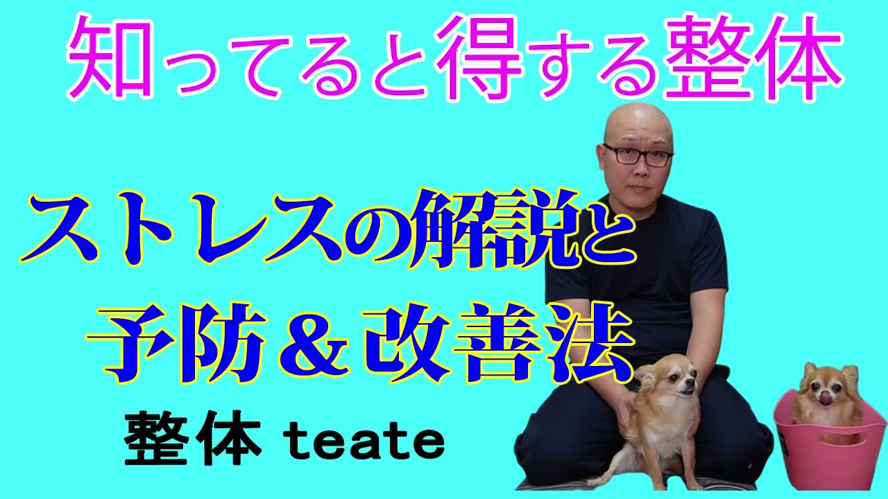 知ってると得する整体～ストレスの解説と予防＆改善法編～