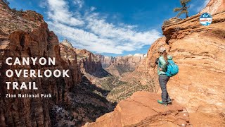 Canyon Overlook Trail  A Great Beginner Hike in Zion National Park