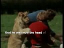 Christian The Lion - i will always love you....