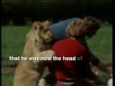 Christian The Lion - I will always love you.... #christianthelion  #lion #christian