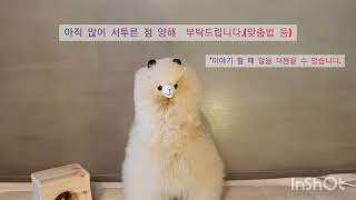 라마의 침대맡 이야기#1