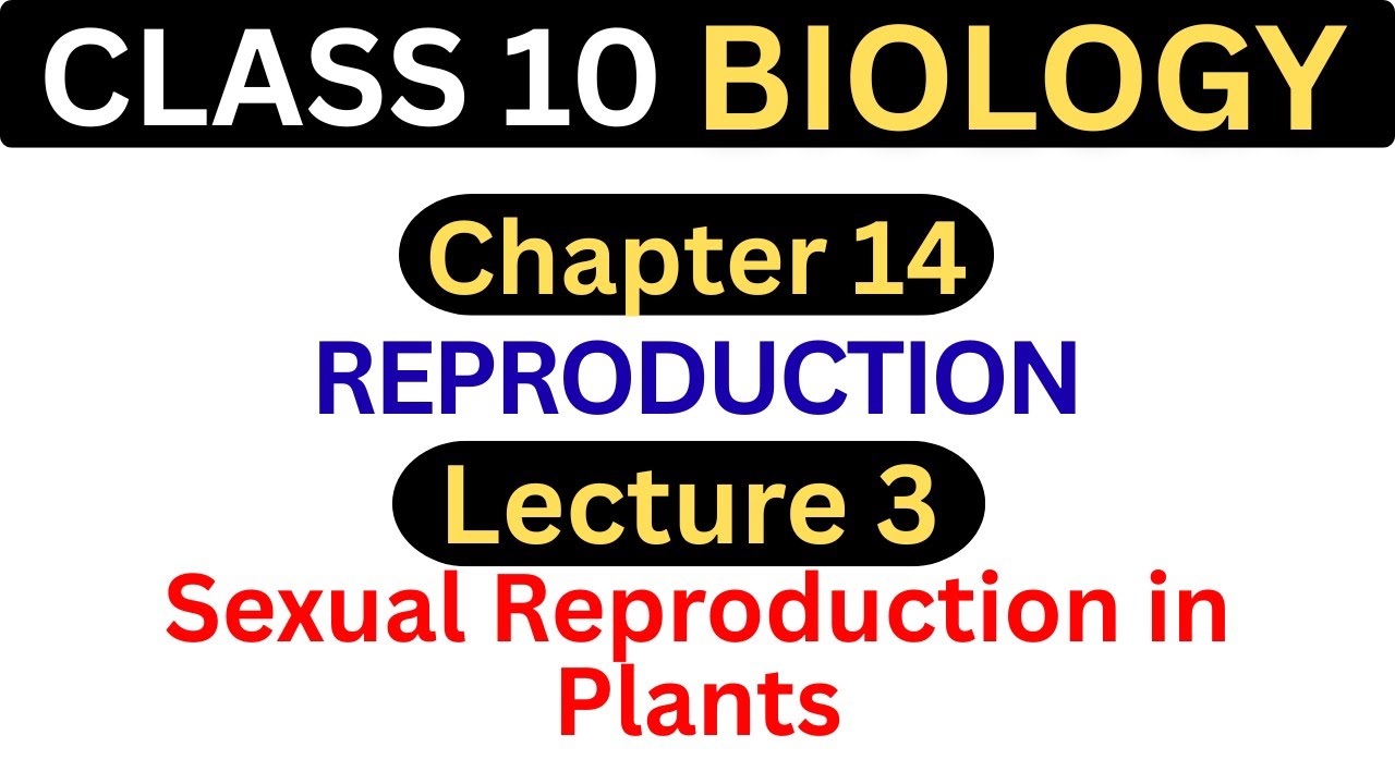 Sexual Reproduction in Plants | Chapter 14 - Lecture 3 | Class 10 Biology