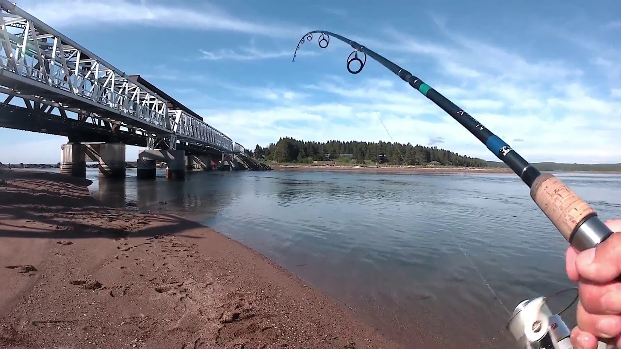 Pêche aux Bars Rayé Chandler Stripers fishing YouTube