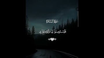 بسم الله الرحمن الرحيم سوره البقره #shortvideo #اكسبلور #المصحف