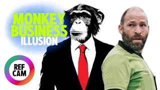 MONKEY BUSINESS ILLUSION
