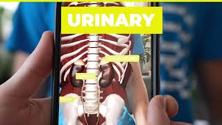 Virtuali Tee Augmented Reality.