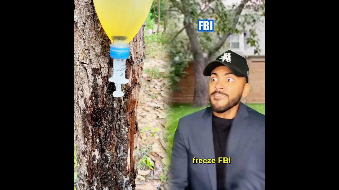 18002895707662037 - YouTube Auto PHP Script