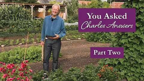 No Dig Q&A Part 2: Misconceptions, Tools, Compost & Community Gardening thumbnail