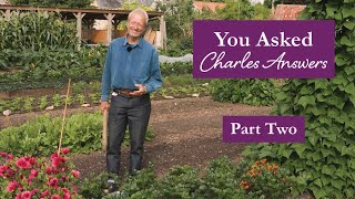 No Dig Q&A Part 2: Misconceptions, Tools, Compost & Community Gardening