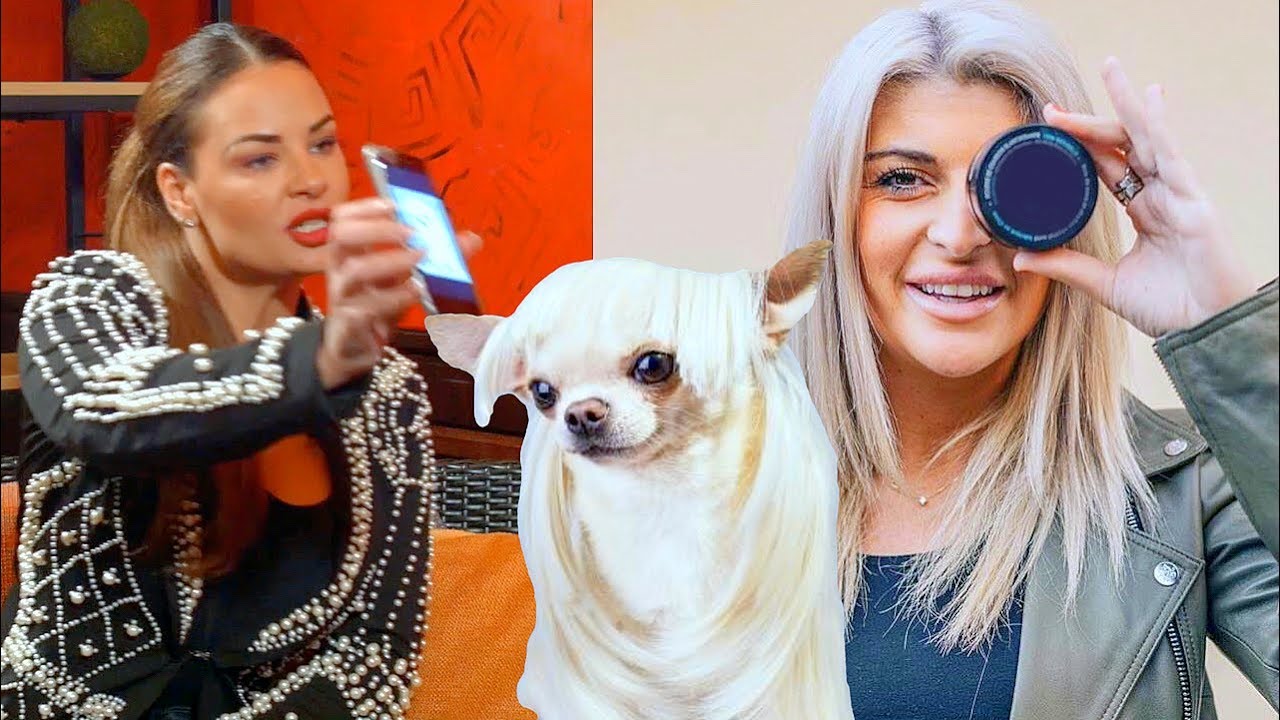 Ines (10 Couples): " Mélanight c'est un Chihuahua brushingué ! "