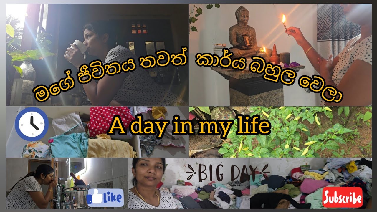එන්න එන්නම කාර්ය බහුල වෙන අපේ ජීවිත 😔😟| A busy day ♥️ in my life ♥️ #dayinmylife #dayvlog #home 