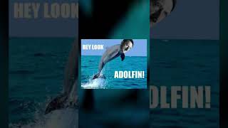 Look ADOLFIN! #music #memes #hitler #funny