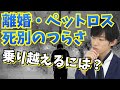 【数千万円】離婚と死別のつらさがヤバすぎ→乗り越えるには？