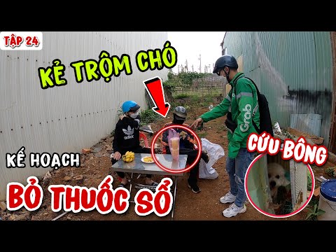 TẬP 24: KẾ HOẠCH "BỎ THUỐC SỔ" KHIẾN KẺ TRỘM ĐAU BỤNG ĐỂ CỨU EM BÔNG | ANH THÁM TỬ GRAP