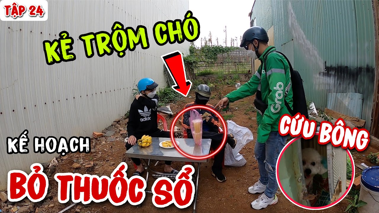 TẬP 24: KẾ HOẠCH "BỎ THUỐC SỔ" KHIẾN KẺ TRỘM ĐAU BỤNG ĐỂ CỨU EM BÔNG | ANH THÁM TỬ GRAP