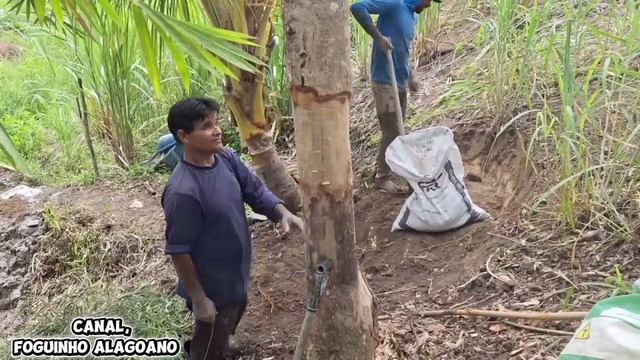 Fui chamado pra refazer um açude da @ Ana Paula alagoana +um delicioso almoço 