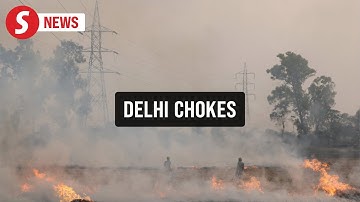 Farmers in Punjab burn stubble, say they lack options, as smog blankets Delhi