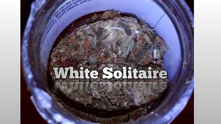 White Solitaire strain review from curaleaf