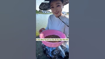 cô cô đi câu cá trắm đen siêu to và cái kết  #fishing #cauca #xuhuong#giaitri #short #haihuoc