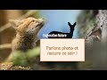 Parlons photo et nature  wildlifephotography