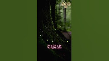 تلاوة تأسر القلوب-الشيخ إدريس ابو بكر -سورة الفرقان 🌿💚☘️