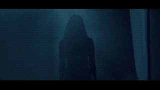 The Forest Through the Trees (Trailer)