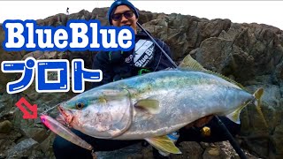 【青物】Blue Blueガチペン130が優秀過ぎる。
