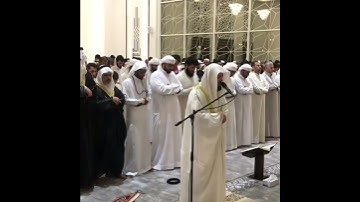 تلاوة عطرة  للشيخ وديع اليمني