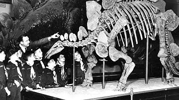 Boundary Objects Video 2