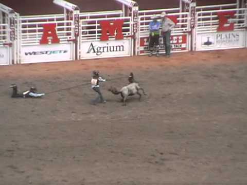 Wild Pony Rodeo - YouTube