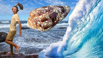 SEASHELL JACKPOT AFTER A MEGA DANGEROUS STORM! SO MANY RARE SHELLS AT THE BEACH WITH FRIENDS!