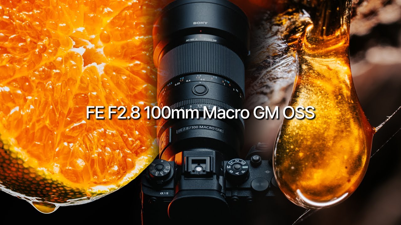 눈 크게 뜨고 보세요 소니 첫번째 GM 마크로 렌즈ㅣ FE100mm F2.8 Macro GM